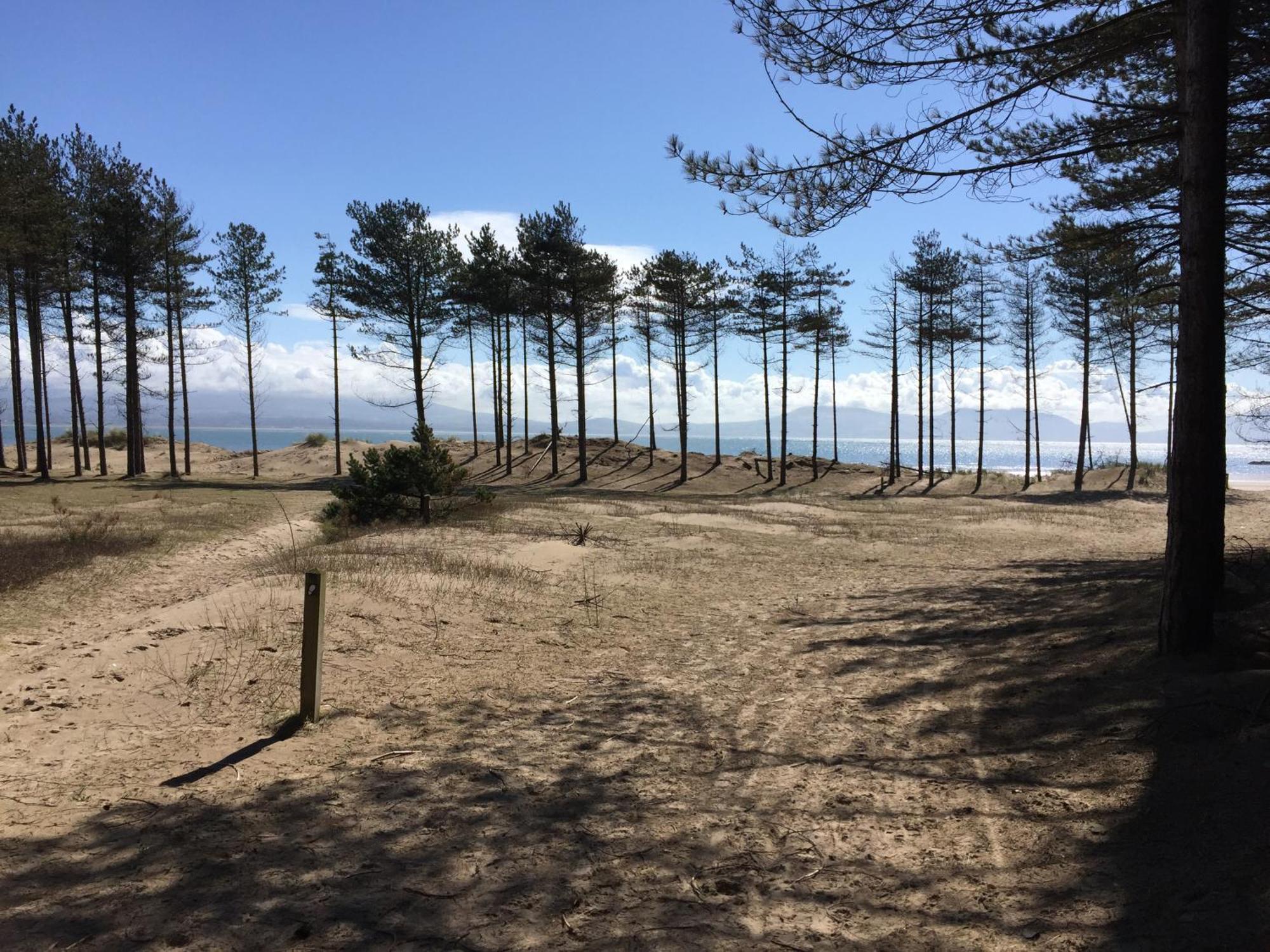 Llanw Malltraeth - Malltraeth Tides Llangadwaladr  Luaran gambar